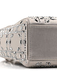 Satin Crystal Cannage Mini Lady D1OR Gray
