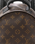 Monogram Palm Springs Backpack PM