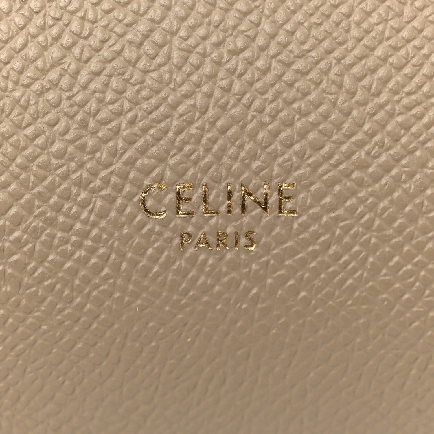 Grained Calfskin Nano Belt Bag Light Taupe