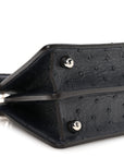 Ostrich Shiny Nappa Petite Peekaboo I SEE U Satchel Dark Blue