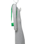 Crinkled Lambskin Maxi Intrecciato Extra Mini Cassette Crossbody Bag Parakeet