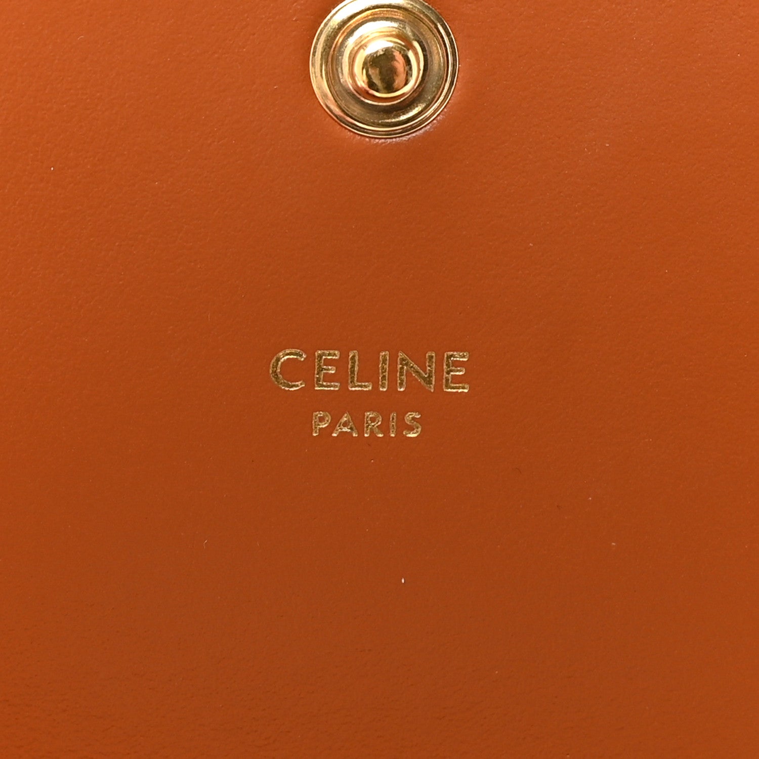 Triomphe Canvas Multipochette Tan