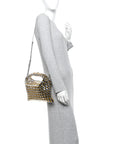 Metallic Lambskin Intrecciato Mini Hop Silver Gold
