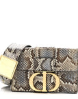 Snakeskin 30 Montaigne Box Bag Beige Multicolor