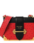 City Calfskin Ostrich Cahier Bag Fuoco Black