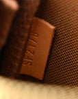 Monogram Mini Pochette Accessories