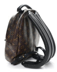 Monogram Palm Springs Backpack PM