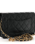 Pearly Caviar Quilted Fit For You Wallet On Chain WOC Black