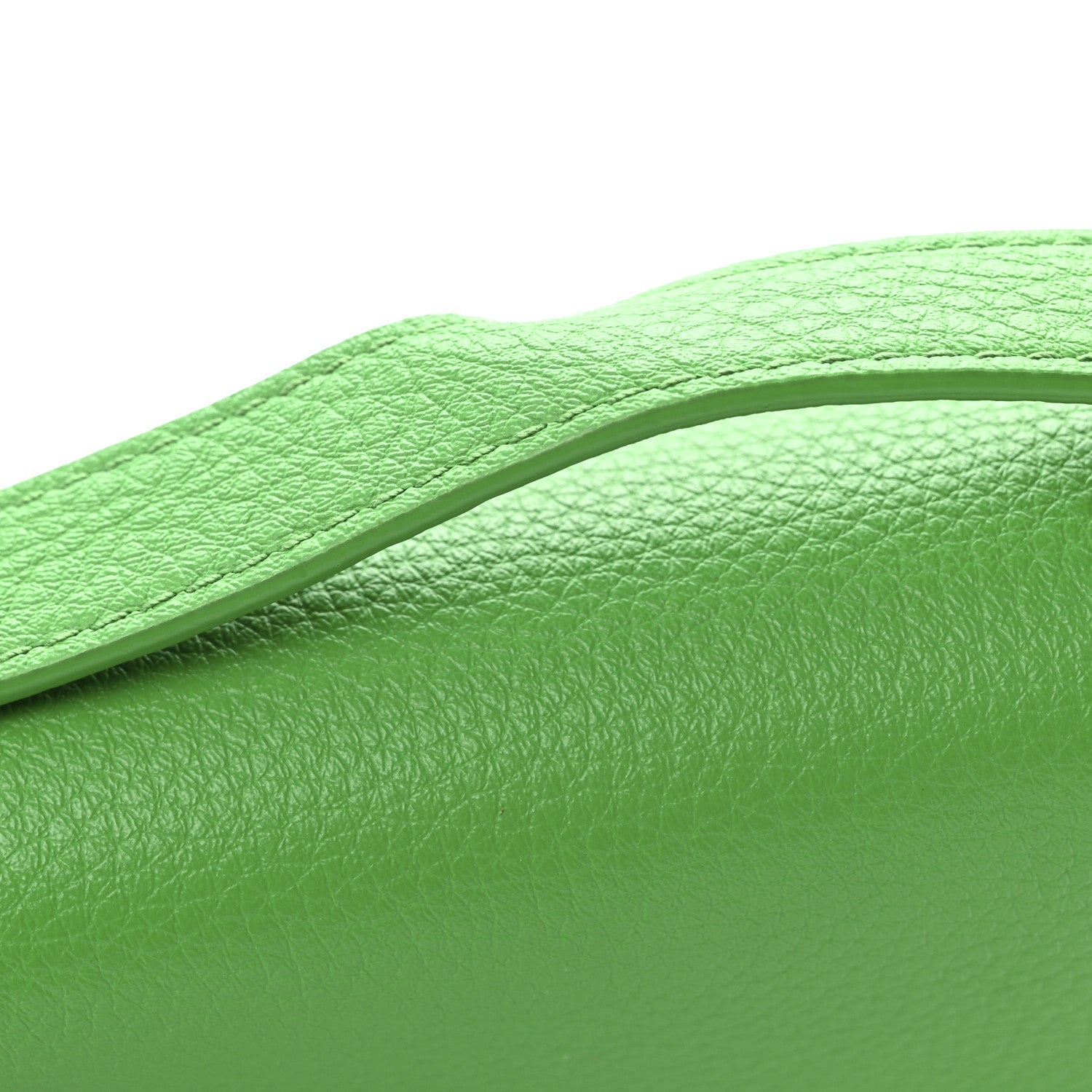 Calfskin Mount Envelope Bag Parakeet
