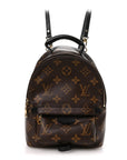 Monogram Palm Springs Backpack Mini