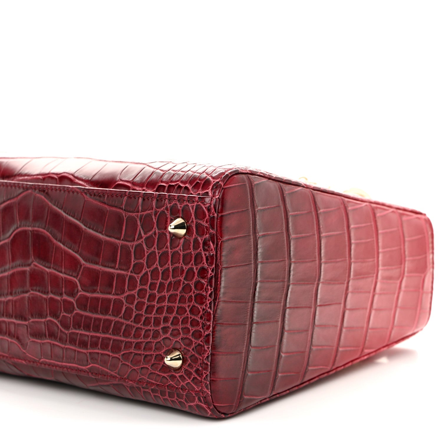 Alligator Gradient Medium Lady D1OR Red