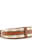 Canvas Calfskin Mini Ava Triomphe Shoulder Bag White