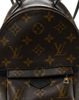 Monogram Palm Springs Backpack Mini