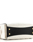 Braided Raffia Calfskin Mini CHNL 25 Handbag White Black