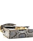 Snakeskin 30 Montaigne Box Bag Beige Multicolor