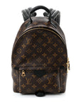 Monogram Palm Springs Backpack PM