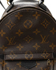 Monogram Palm Springs Backpack Mini
