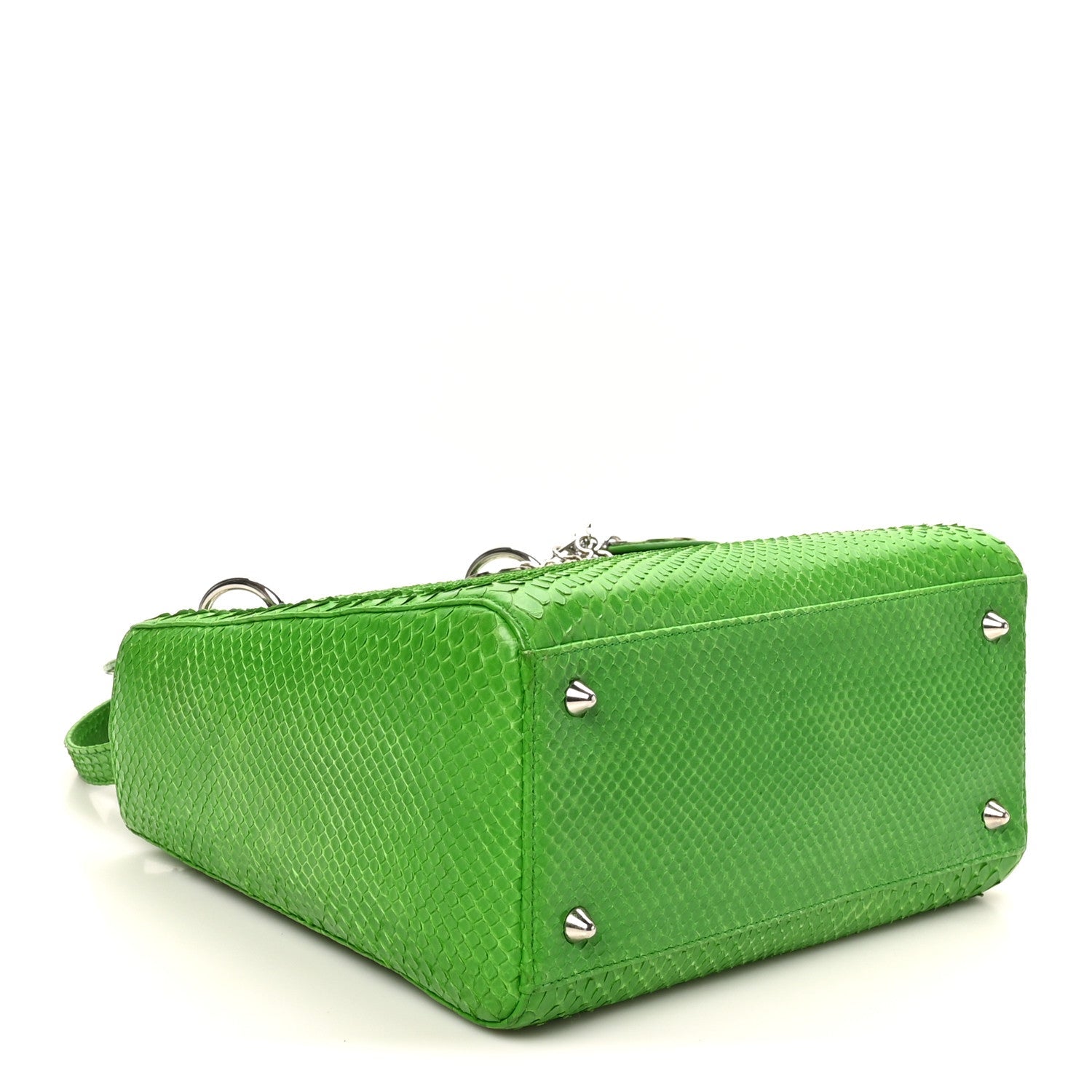 Snakeskin Medium Lady D1OR Green