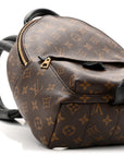 Monogram Palm Springs Backpack PM