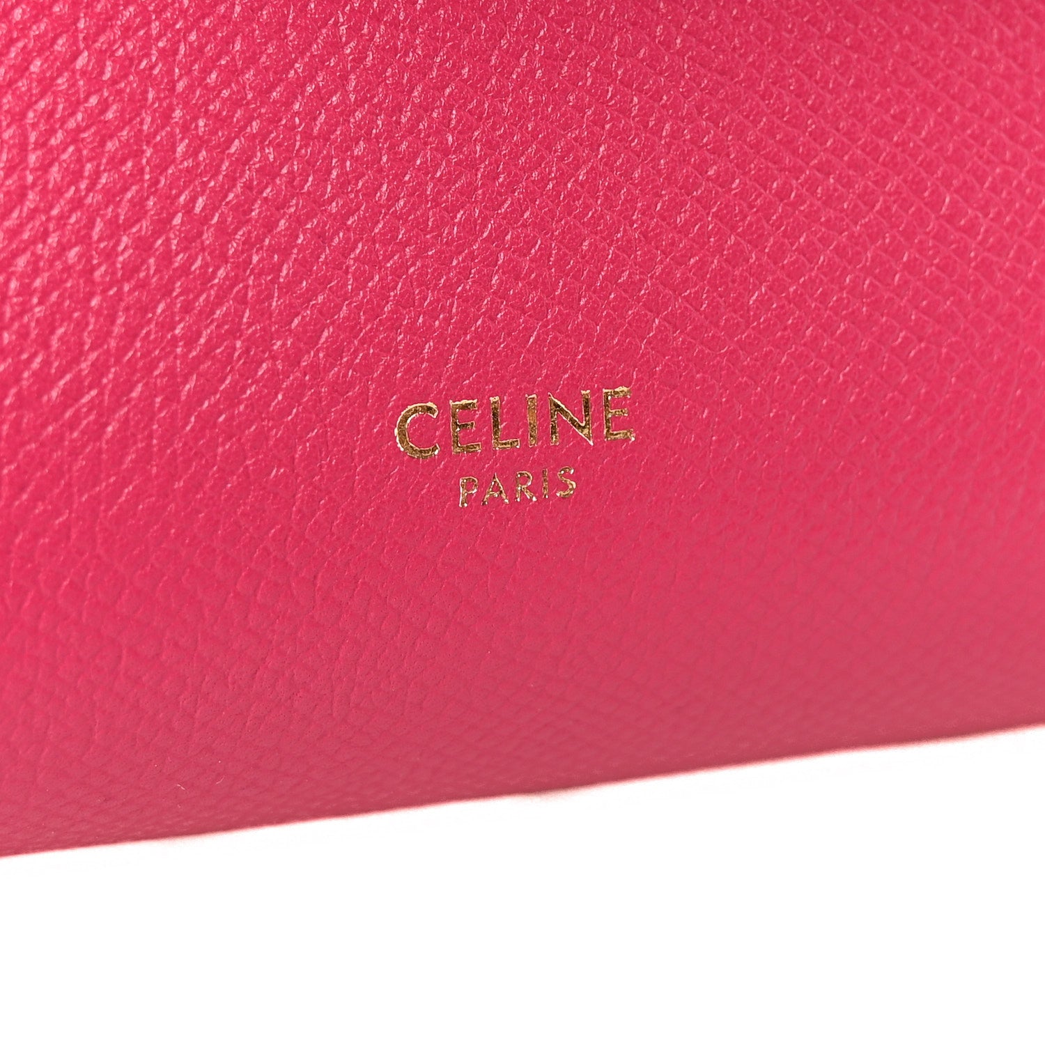 Grained Calfskin Nano Belt Bag Raspberry