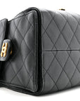 Caviar Quilted Small CHNL 25 Handbag Black