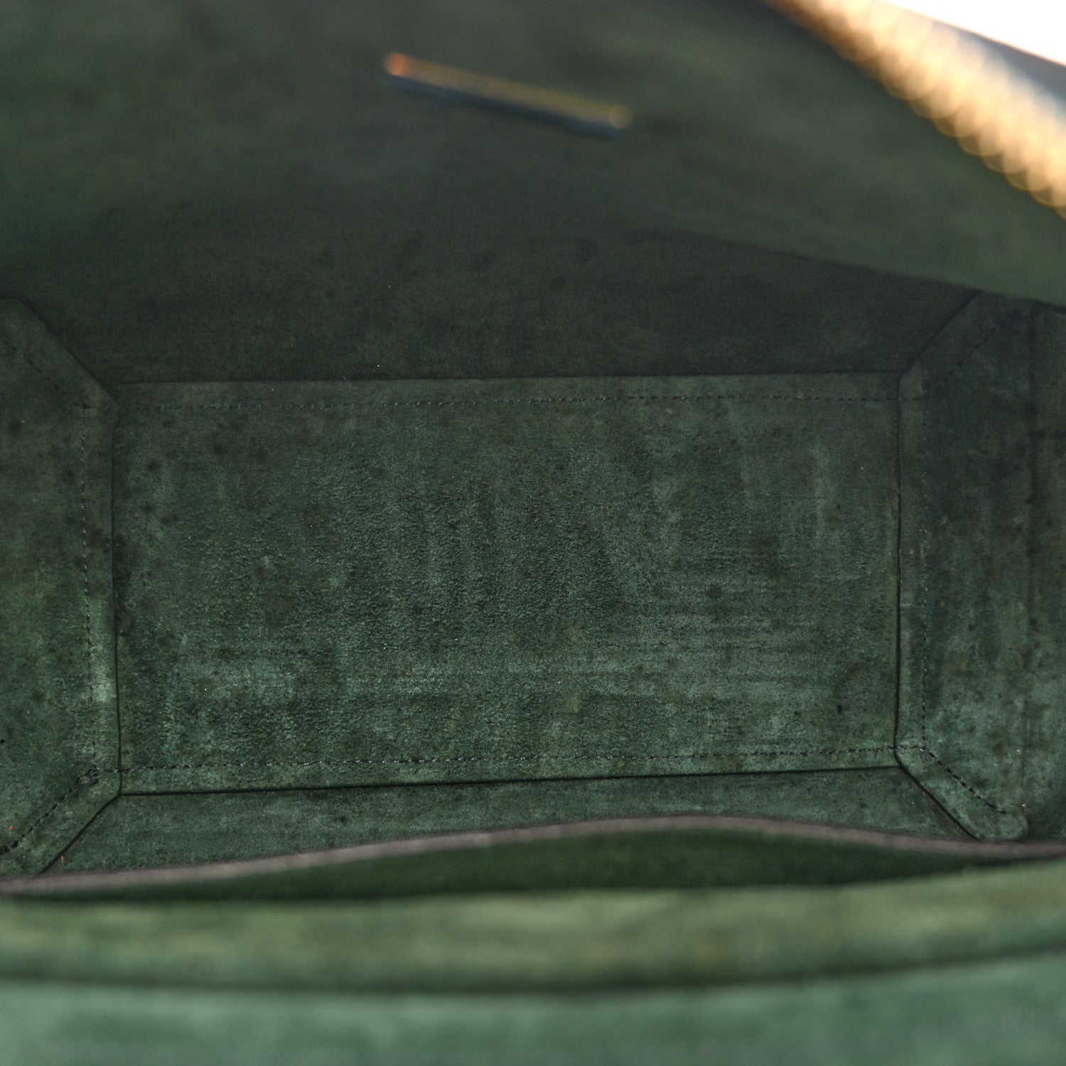 Grained Calfskin Micro Belt Bag Amazone