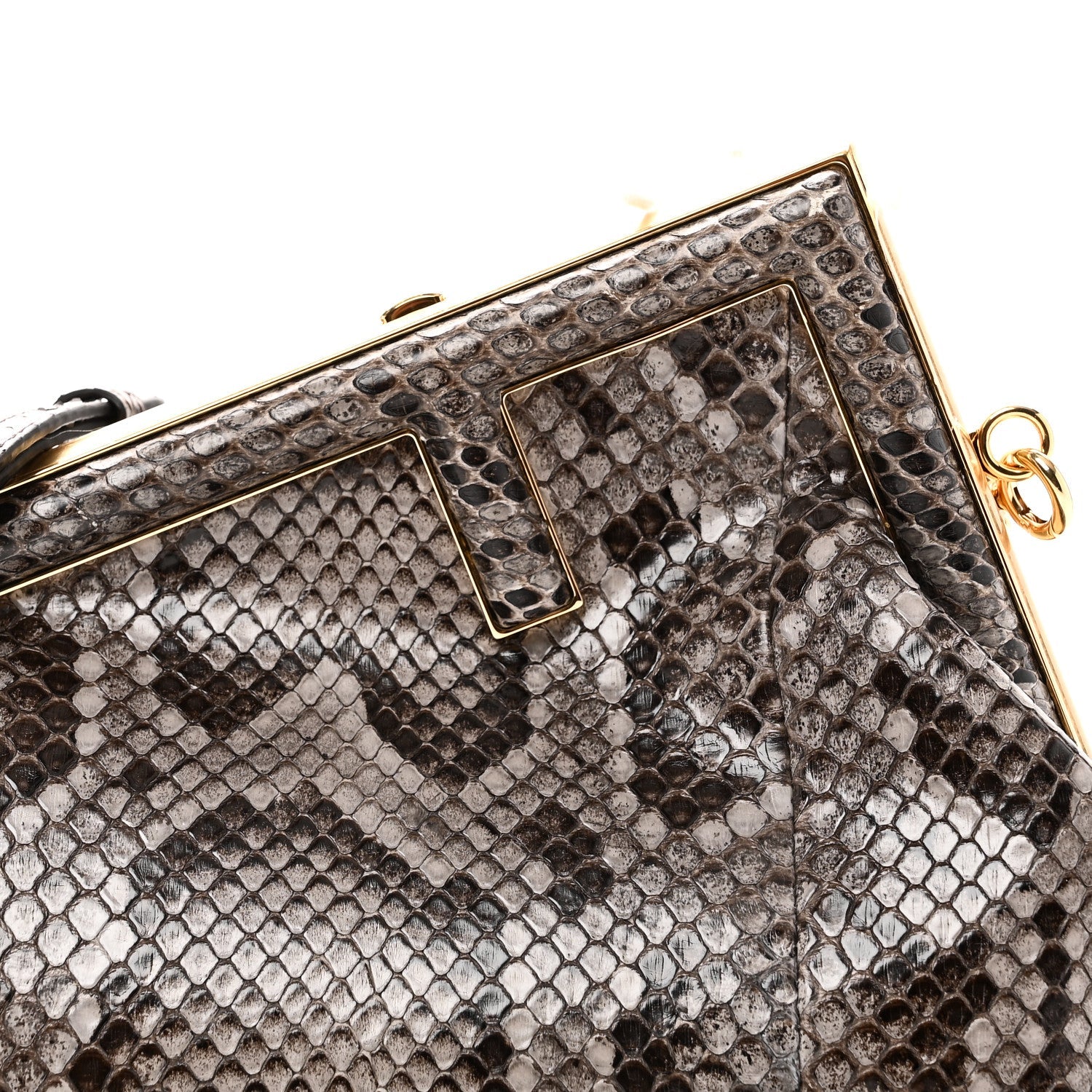 Snakeskin Small FNDI First Asfalto