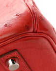 Ostrich Birkin 30 Rouge Vif