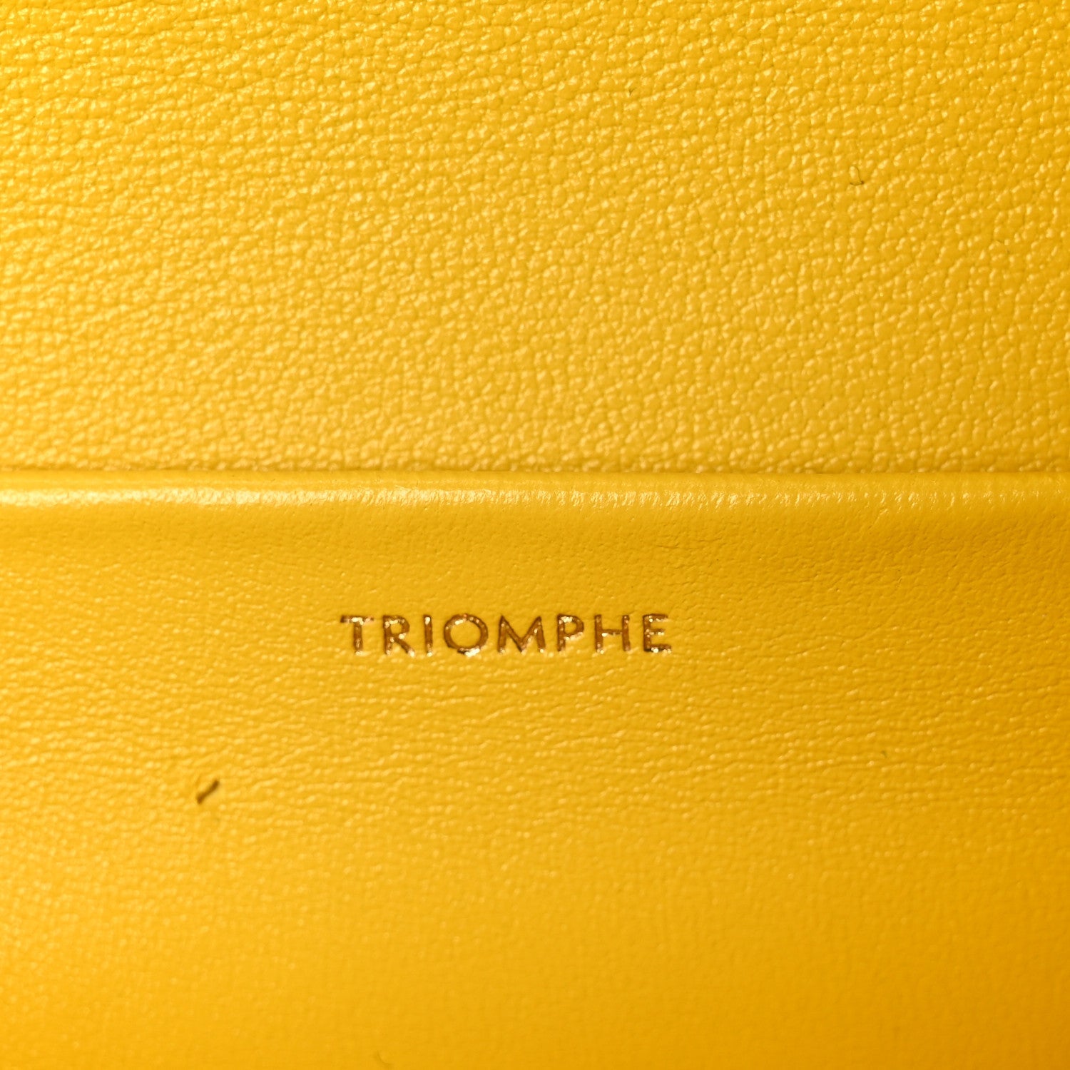Fluffy Shearling Triomphe Claude Chain Shoulder Bag Yellow