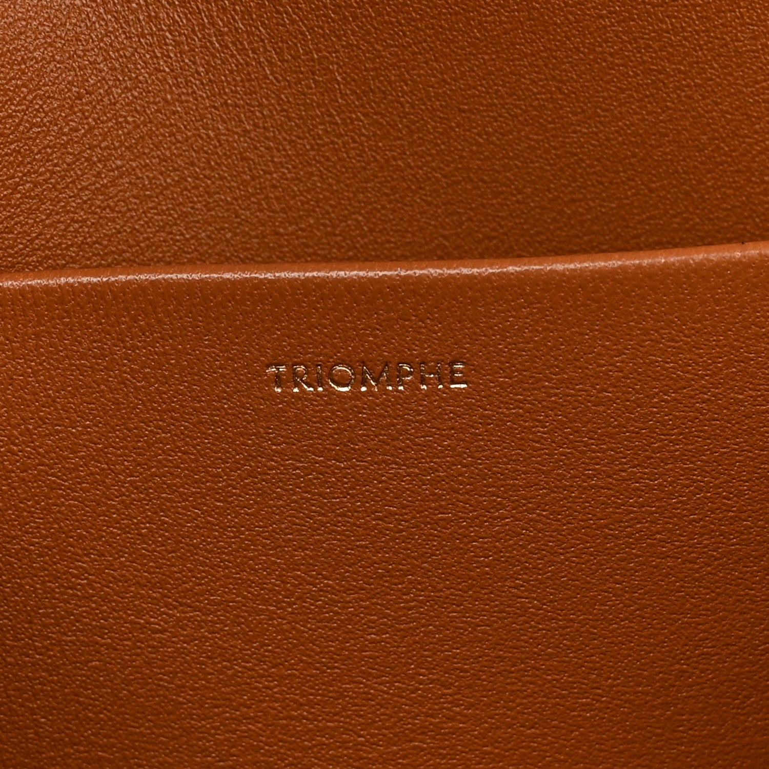 Natural Calfskin Medium Triomphe Tan