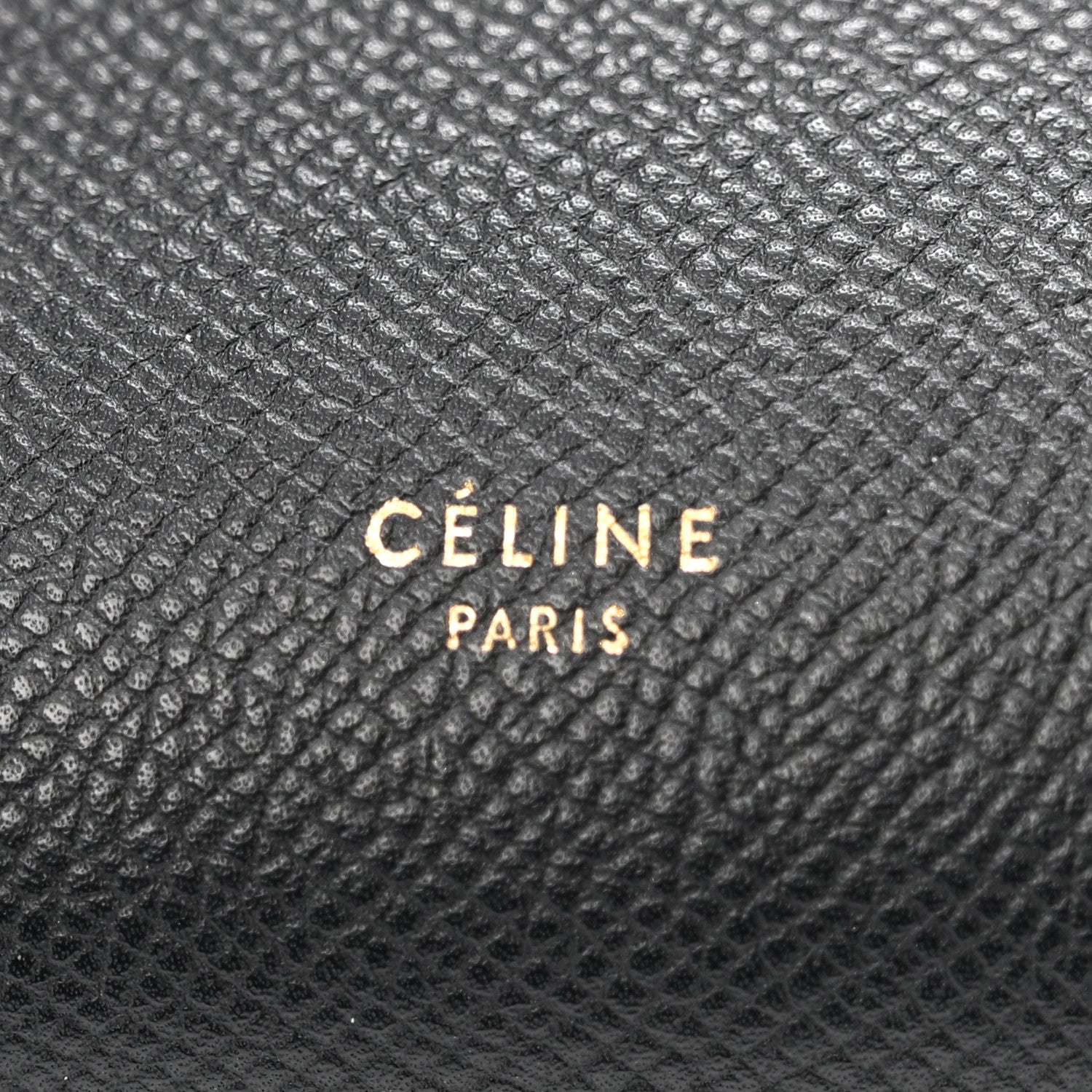 Grained Calfskin Mini Belt Bag Black