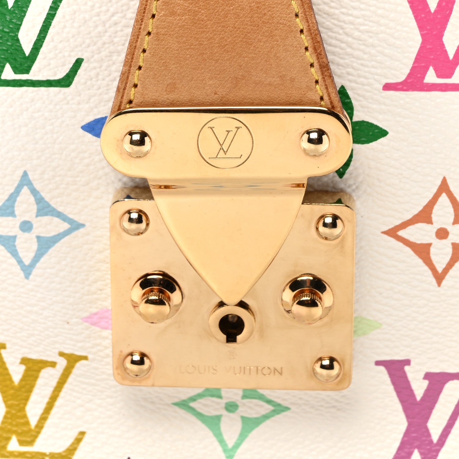 Monogram Multicolor Speedy 30 White