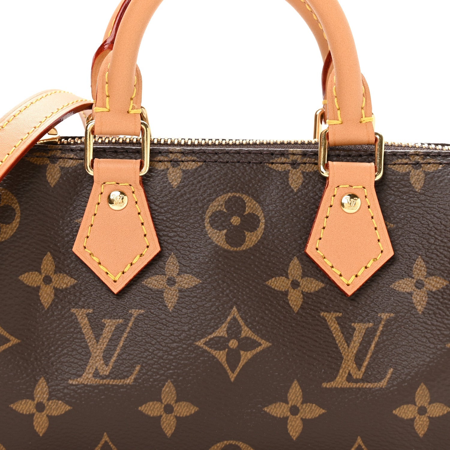 Monogram Nano Speedy Bandouliere