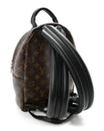 Monogram Palm Springs Backpack PM