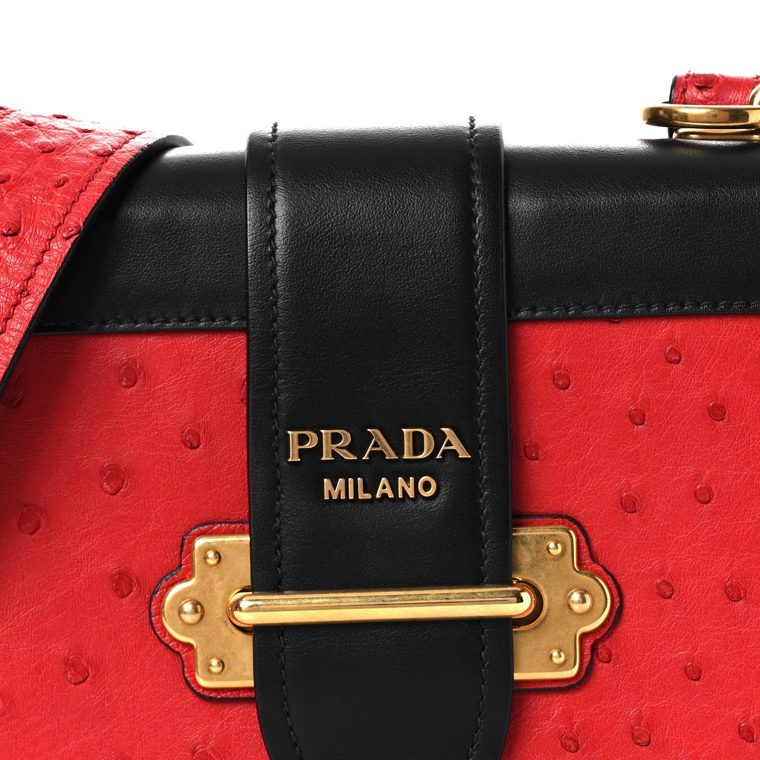 City Calfskin Ostrich Cahier Bag Fuoco Black