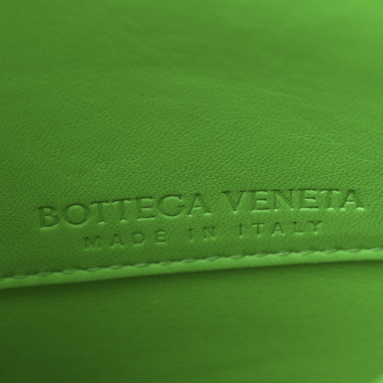 Calfskin Mount Envelope Bag Parakeet