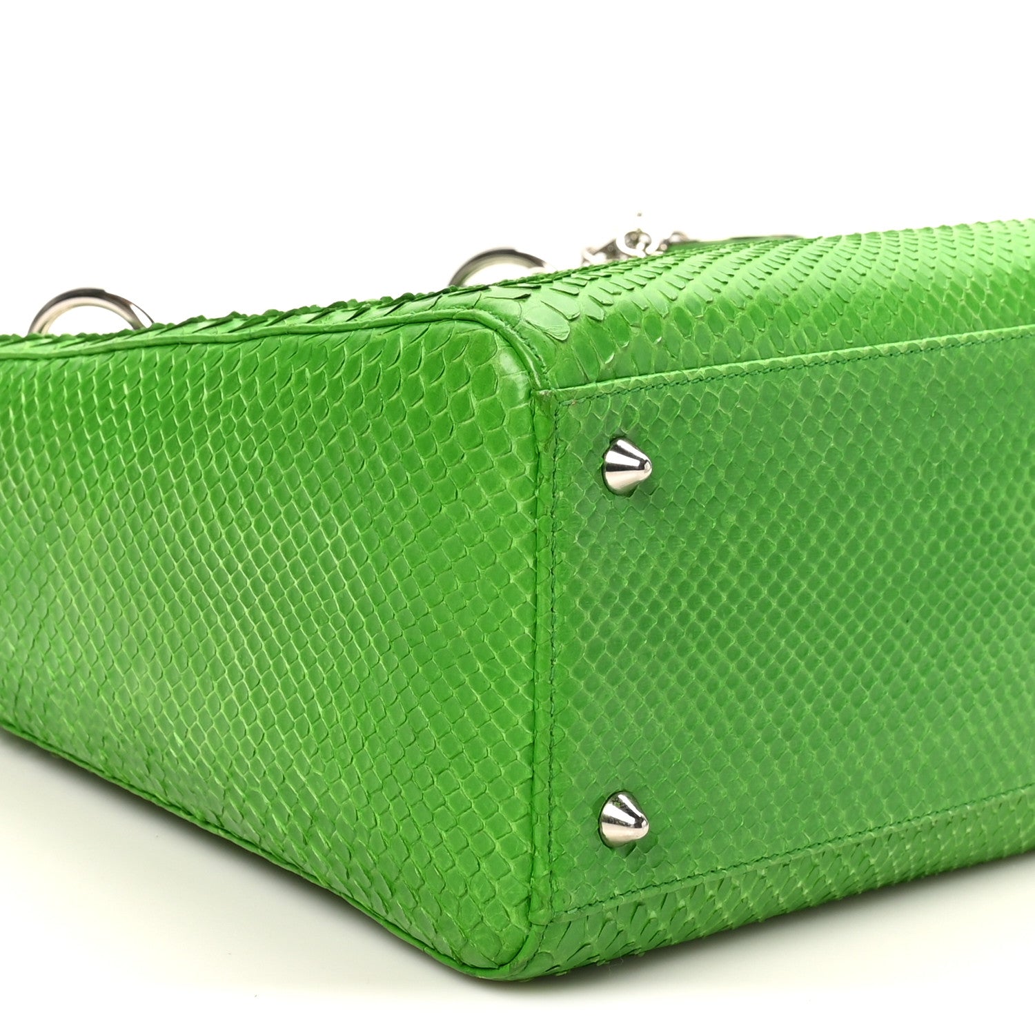 Snakeskin Medium Lady D1OR Green