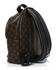 Monogram Palm Springs Backpack MM