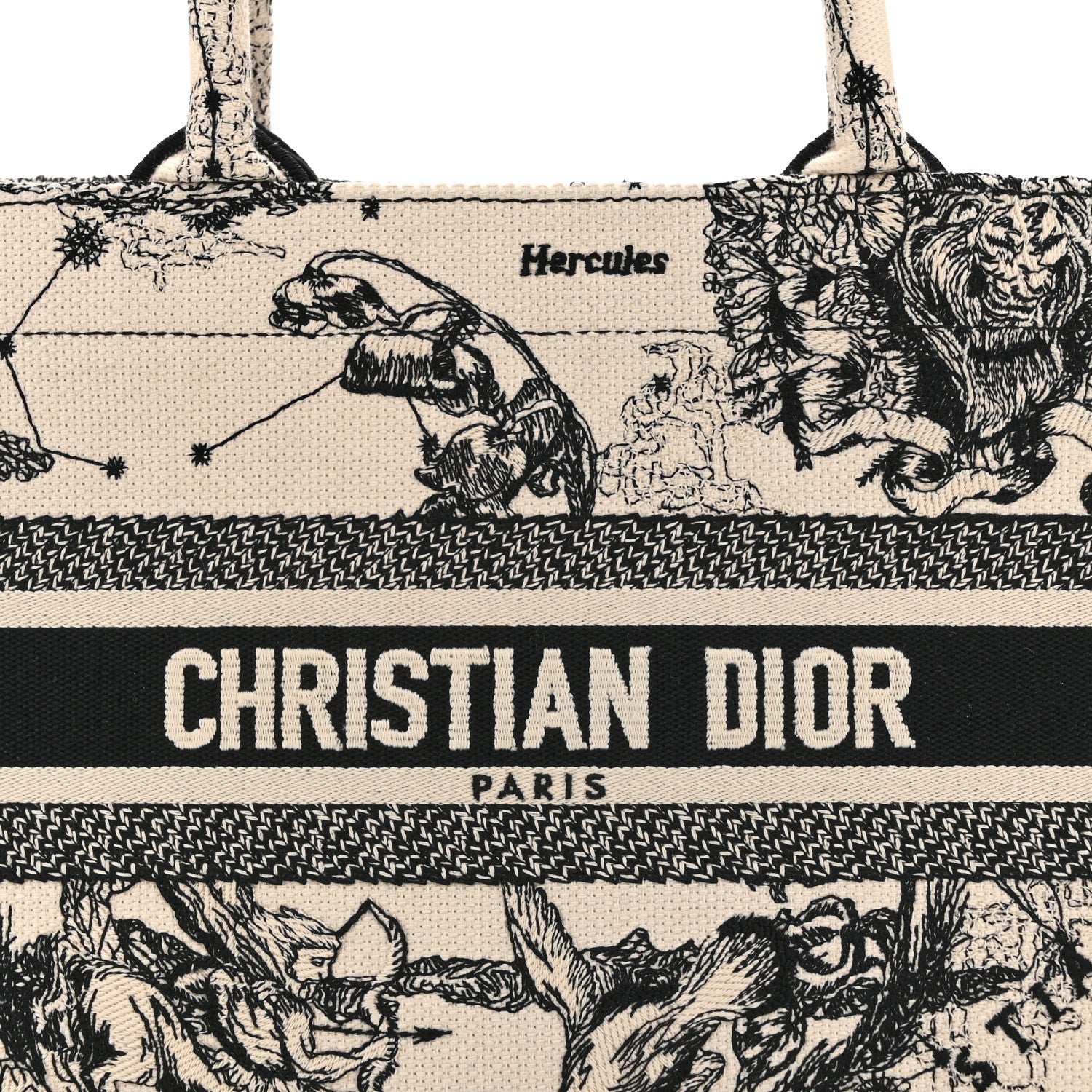 Canvas Embroidered Small Zodiac Toile De Jouy Book Tote Latte