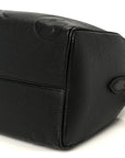 Empreinte Monogram Giant Speedy Bandouliere 25 Black