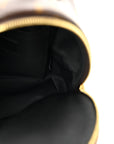 Monogram Palm Springs Backpack Mini