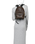 Monogram Palm Springs Backpack PM