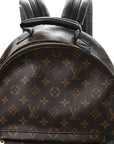 Monogram Palm Springs Backpack MM