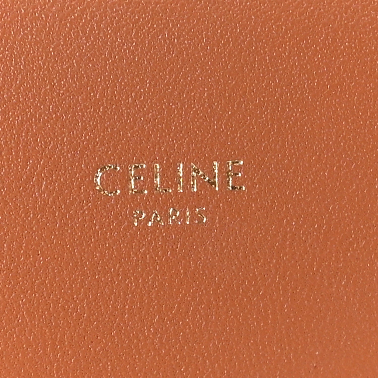 Triomphe Canvas Asymmetric Clutch Tan