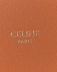 Triomphe Canvas Asymmetric Clutch Tan