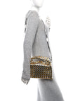 Metallic Lambskin Intrecciato Mini Hop Silver Gold