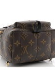 Monogram Palm Springs Backpack Mini