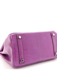 Lizard Birkin 25 Violet