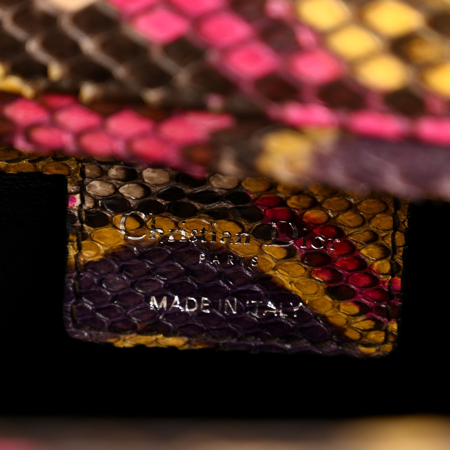 Snakeskin Medium Lady D1OR Multicolor