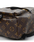 Monogram Palm Springs Backpack PM